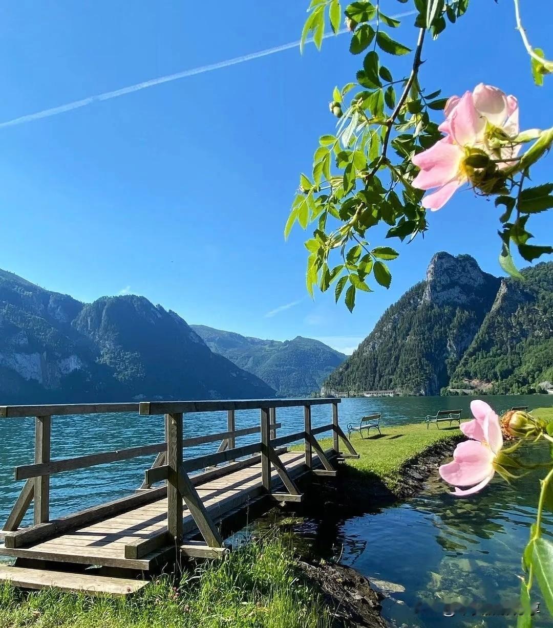 湖畔木栈道，山间野花盛开，静享自然之美。