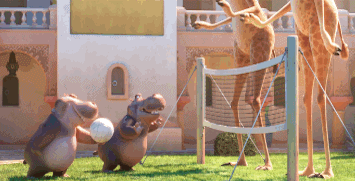 喀麦隆虽然没进世界杯决赛圈，但绝对实力肯定是远高于国足的，别看人家首发平均年龄2