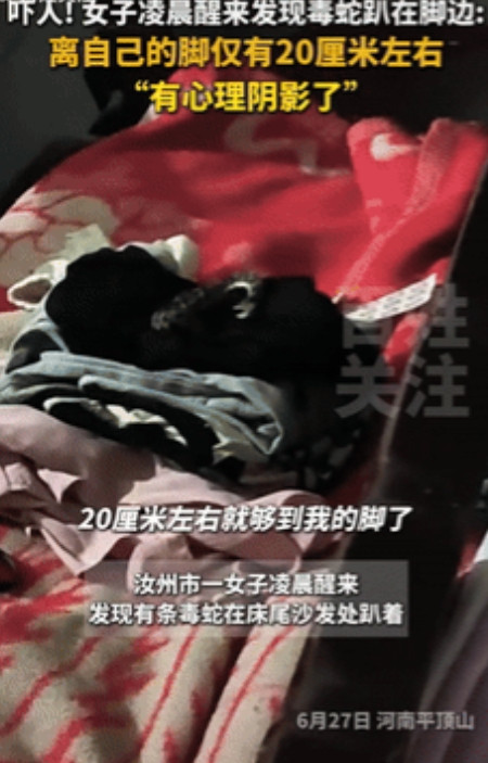 有惊无险！河南平顶山，一女子半夜睡觉被家人给叫醒，起床时却意外看到，床尾沙发上竟