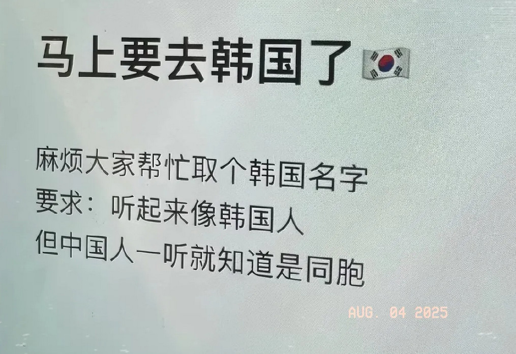 家人们快看！这届网友太会整活了！有人要去韩国定居，求一个听着像韩国人、中国人却秒