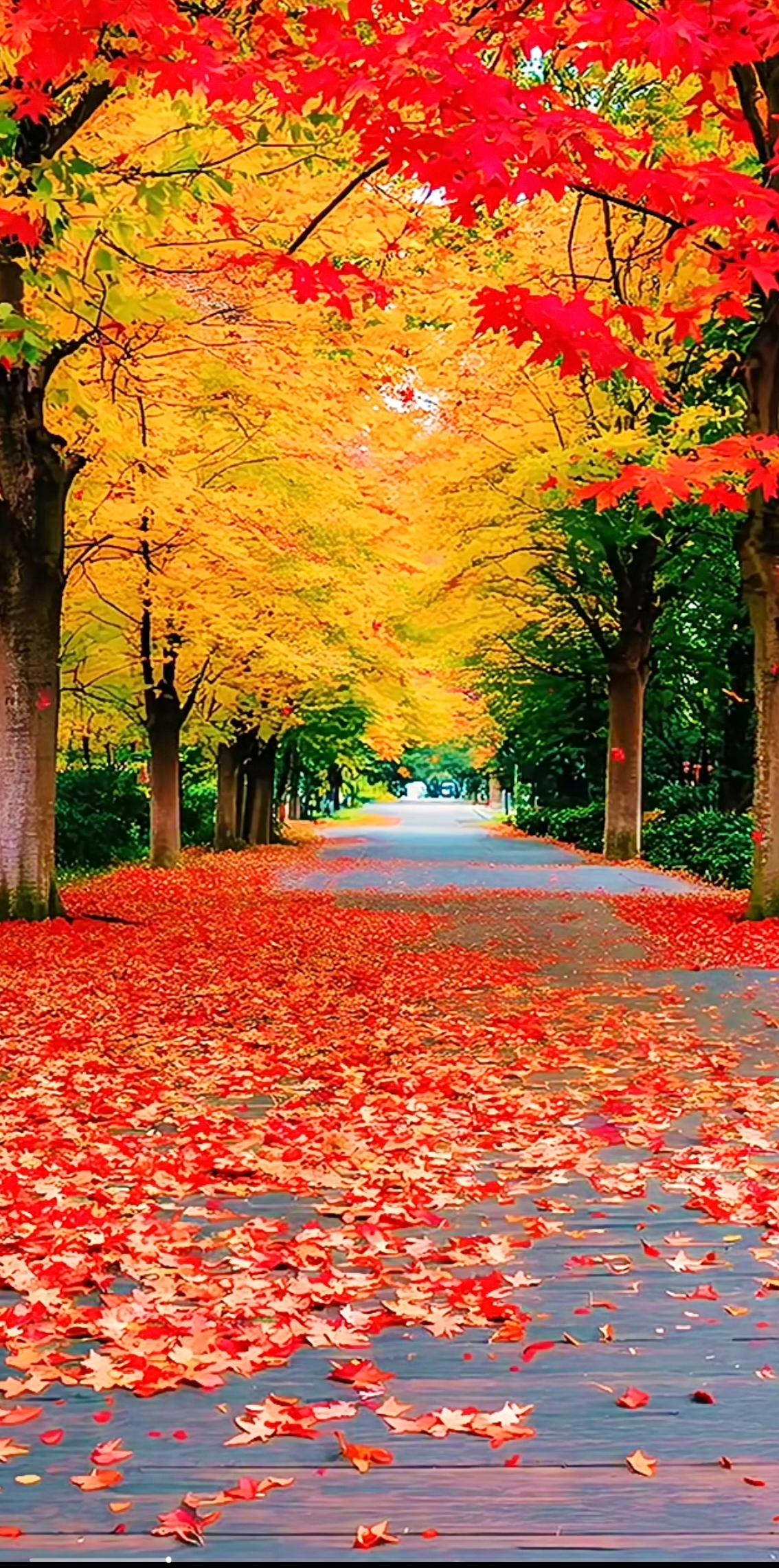 我那女同事查出肺癌晚期后，立马把房子、积蓄全给了儿子，买房买车一条龙。