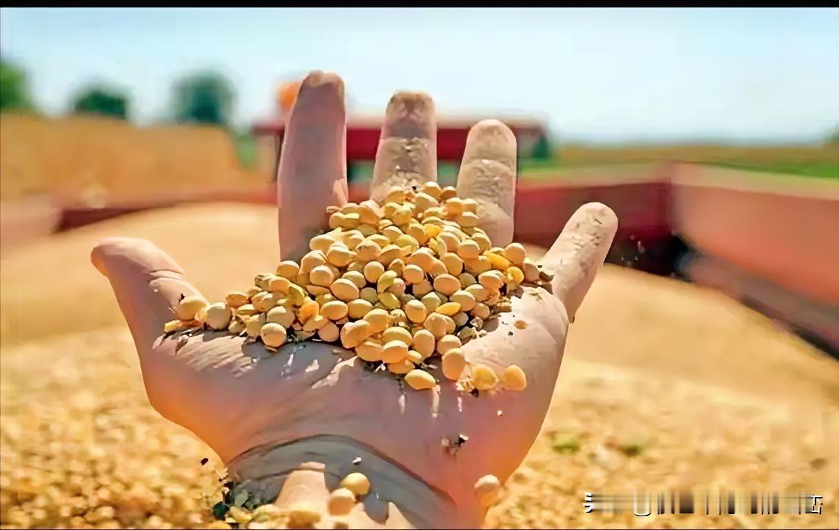 巴西大豆肆意抬价东方大国果断出手应对巴西200万吨新豆陷入滞销!当巴