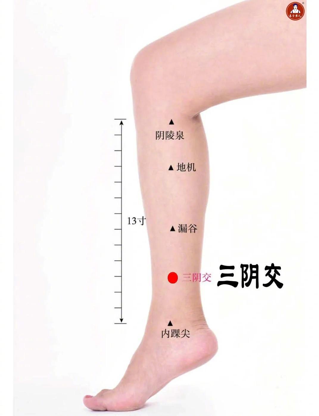北按校园开放日刚学的，紧急降血压的3个重要穴位（部位），颈动脉窦、曲池、三阴交