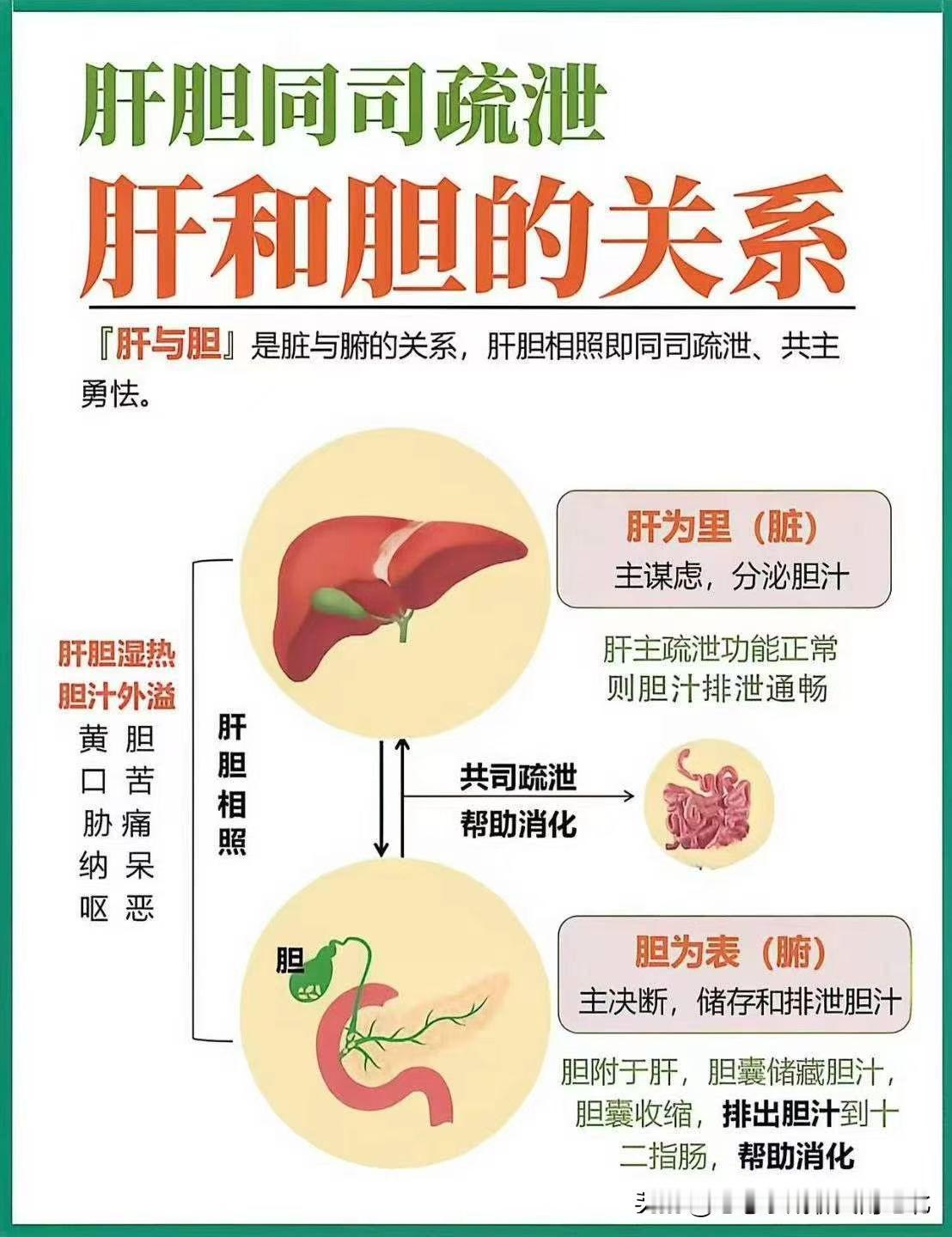 养肝疏肝和清肝都在什么时候?养肝、疏肝、清肝：分别什么时候做、怎么区分先