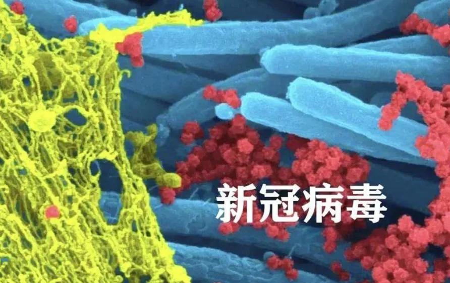 新冠确诊的人越来越多？医生再次强调：宁可吹空调，也别做这7事最近地铁里咳嗽声