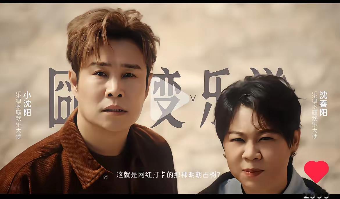 小沈阳怕是以后的钱都赚不完了，不是她女儿火了，而是她们两口子把打广告拉入了一个新