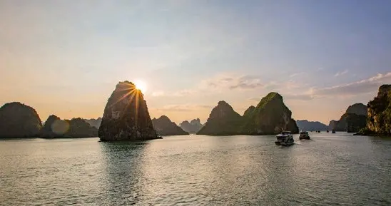 为何我们的制造业企业非要搬去越南?