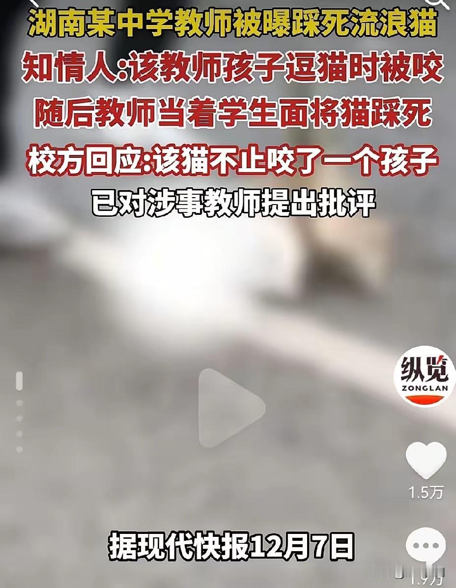 这个事我必须说一下，湖南某中学老师用脚踩死橘花猫事件在当地引起波动，大家都知道，