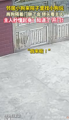 “我竟然会羡慕一只狗？”安徽，邻居小狗来门前找自家狗子玩，还隔着门“聊天”！主人