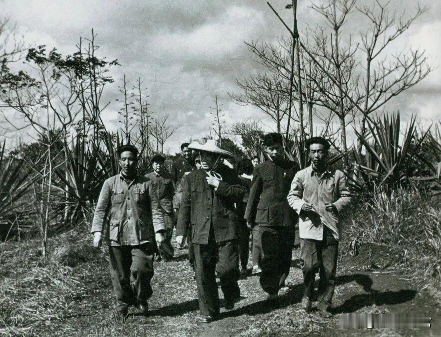 1957年1月，朱德在海南岛视察垦殖场。