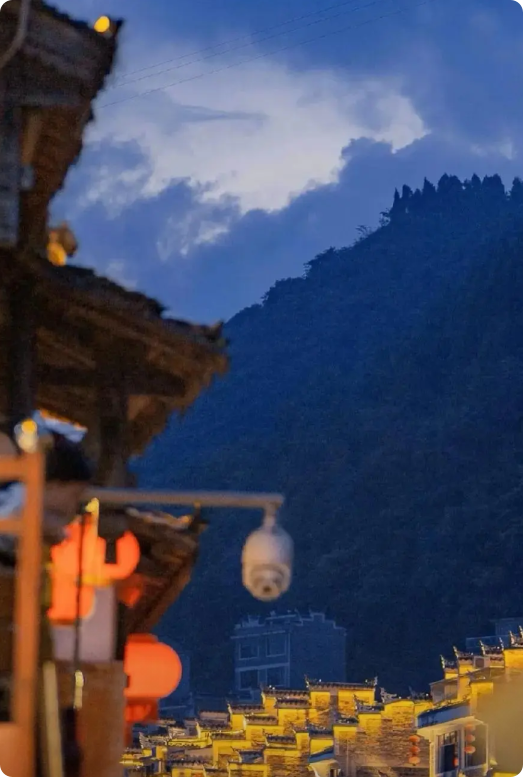 一家六口被判刑，这个来自青岛的中医世家满门只剩下年仅9岁的孙子幸免于难。 青