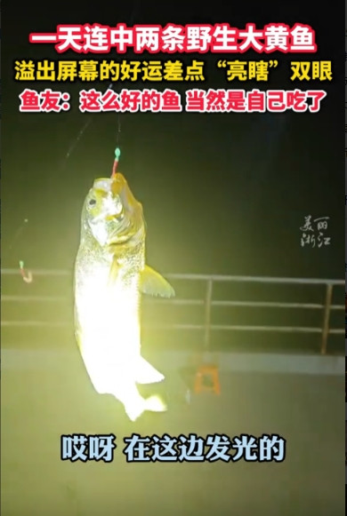 “这就是有钱任性吗！”近日，浙江舟山，一游客运气爆棚，竟然连钓两条野生大黄鱼，品
