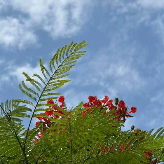 沈剑荣博士履新 11月27日，56岁沈剑荣博士履新。 沈博士在南京学习和