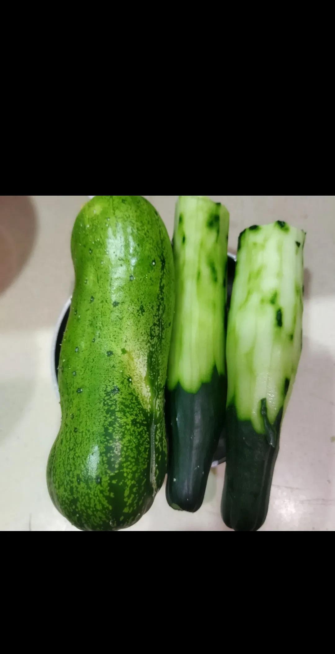 婆婆家种的黄瓜丰收了，摘了好多，终于实现了吃黄瓜的自由。我喜欢生吃黄瓜又脆又甜
