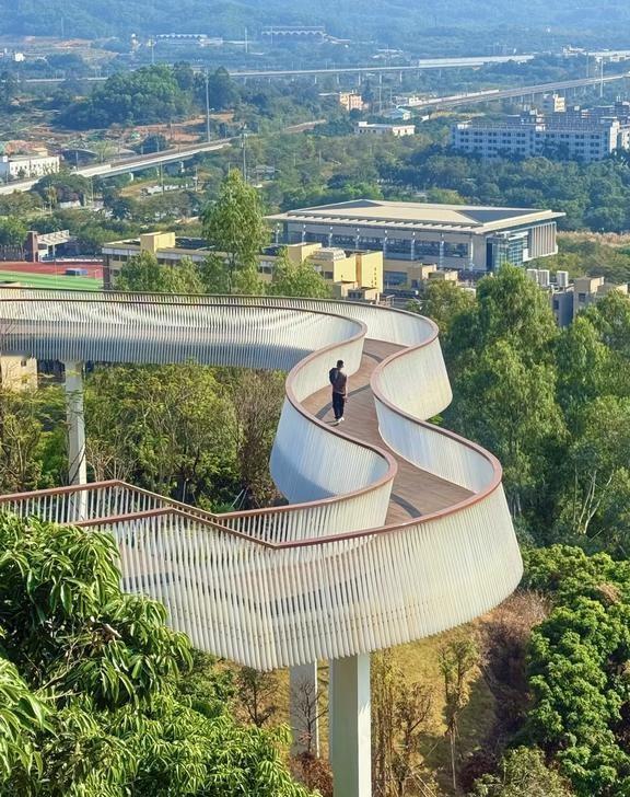 地铁直达🌳深圳巨舒服的徒步路线！20分钟登顶深圳版“光明顶”登顶就是“天