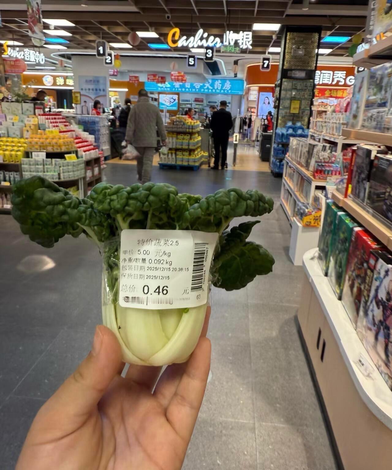 这白菜是啥品种啊