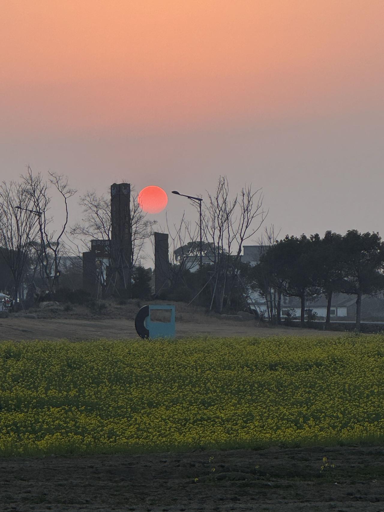 简明扼要的给你说清楚医保改革的具体内容。一、职工医保（核心变化）•个人