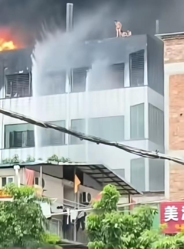 第一张图是晋江楼顶的几个人，第二张图是广西无人机救人的画面。大家都在问，晋江为