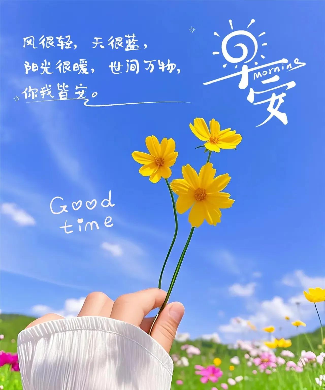 早上好，今天是6月6日星期五。今天中国女排轮空。昨天1-3输给波兰在情理之中