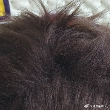 1200清风掠过草原，牛羊漫步于碧野间，野花肆意绽放，雄鹰翱翔天地间，草原辽阔无