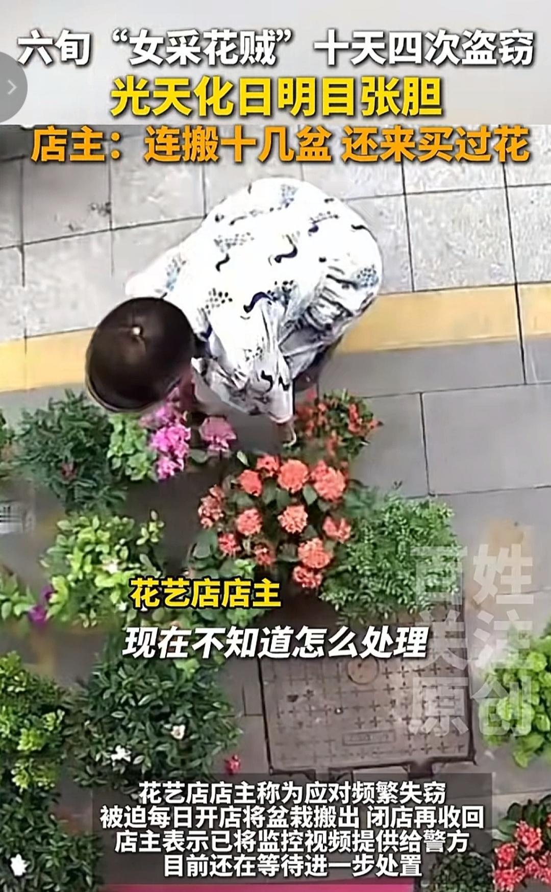 真的是坏人变老了，她都60岁了，为啥还要这么坏？六旬"女采花贼"十天四犯