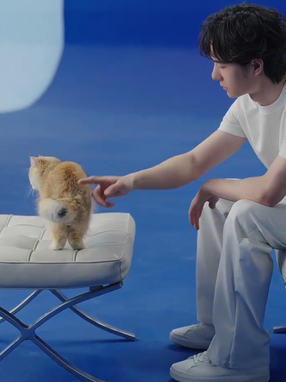 呜呜呜……果然博咪和小猫咪🐱互相喜欢😍～