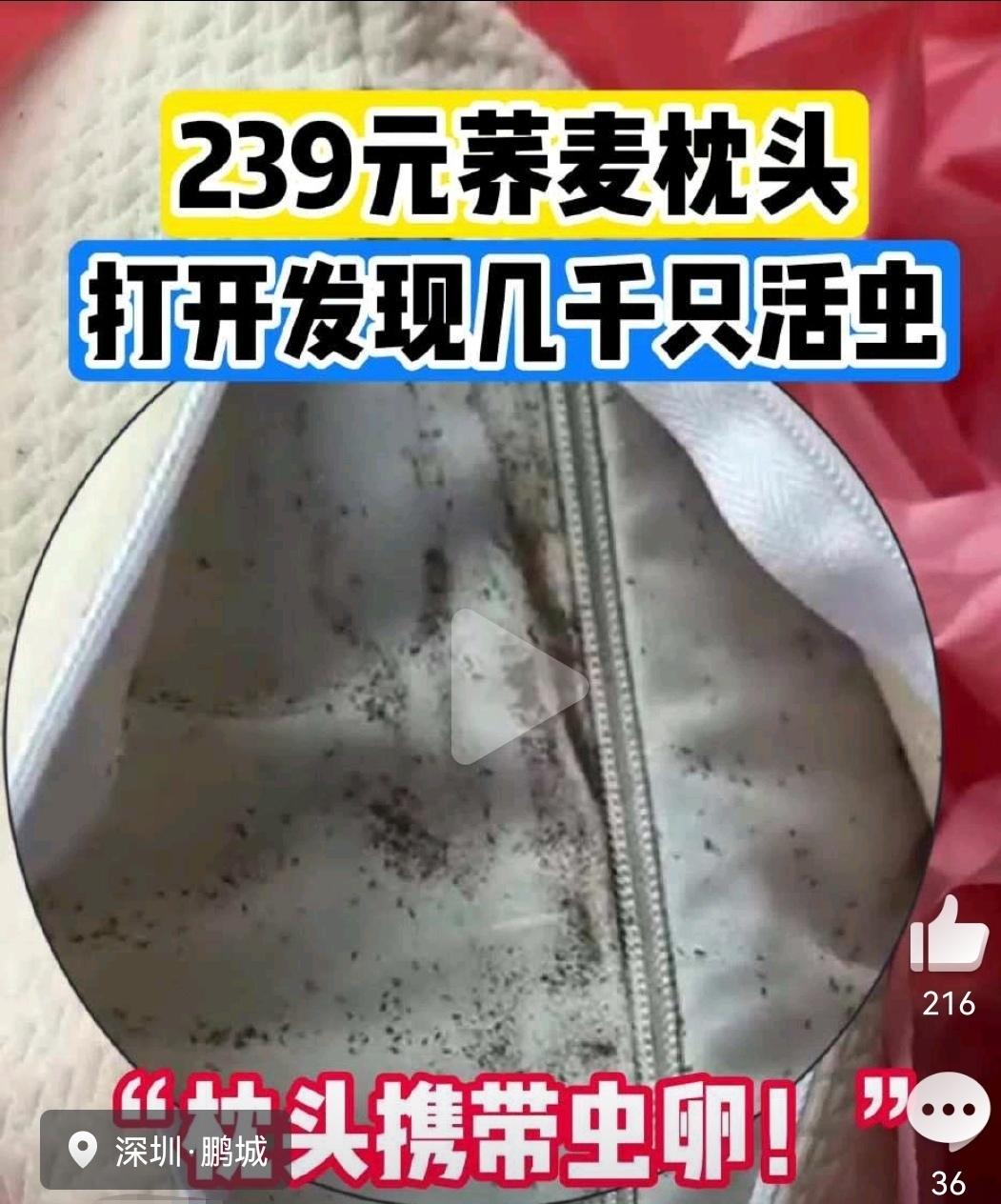 239元买的枕头一拆开，头皮发麻！上千只活虫在里面蠕动…深圳小林网购的“德国