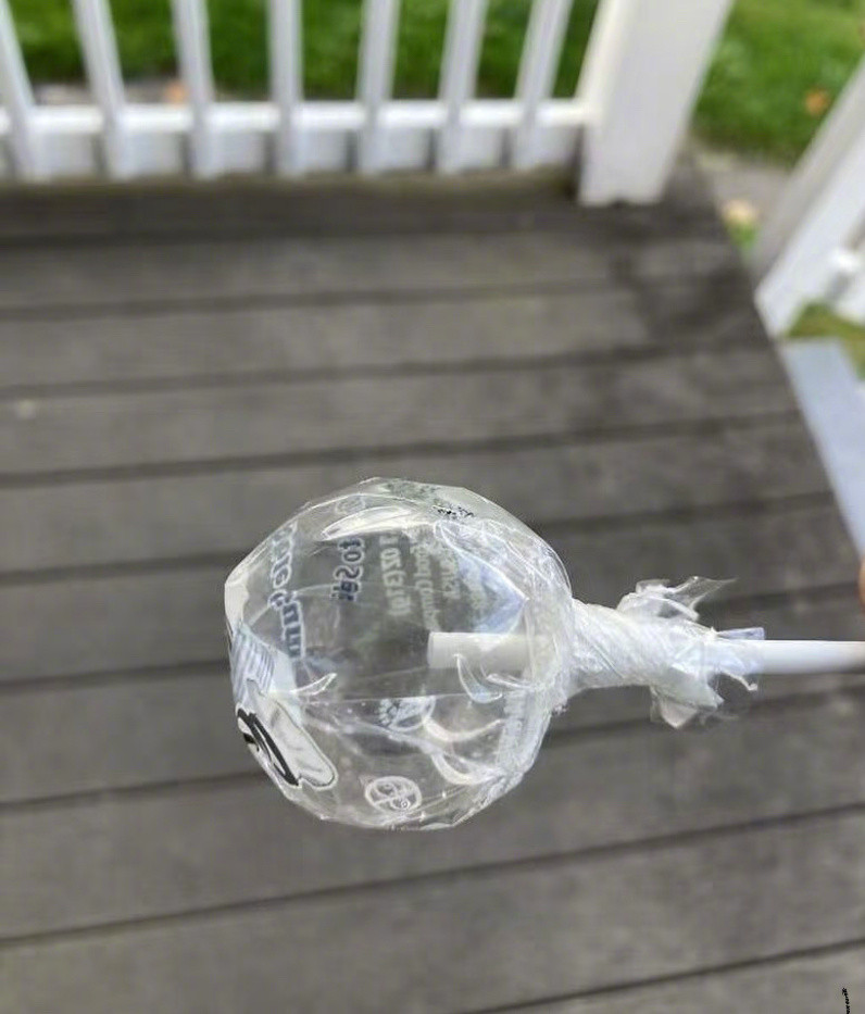 棒棒糖被蚂蚁吃成真空了