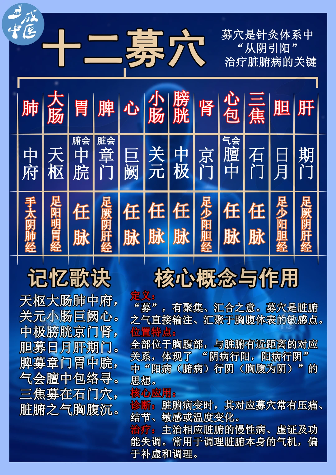 十二募穴和十二原穴！