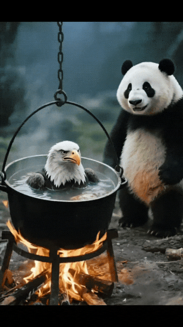 熊猫：鹰子，火是你自己烧的，锅是你自己架的，也是你自己跳进去的，我就是放点柴火帮