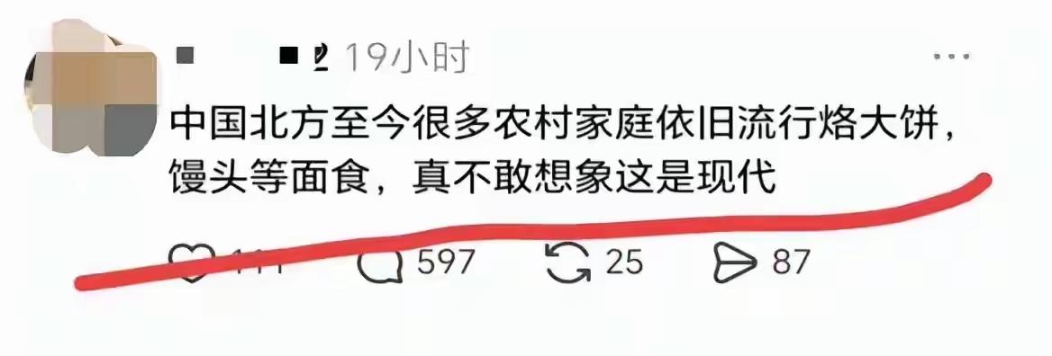 吃烙饼就是“不现代”？这优越感太可笑了！有人吐槽“中国北方农村还在吃烙饼、