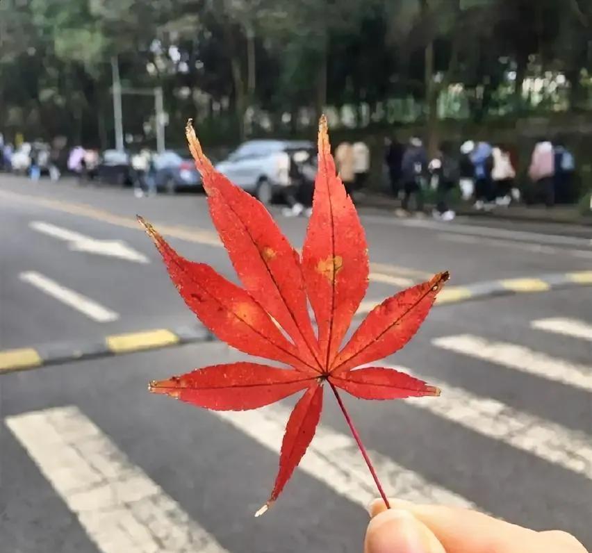 一位老中医说：“告诉你一个永远不受伤的方法，那就是上天给你什么，你就接受什么，