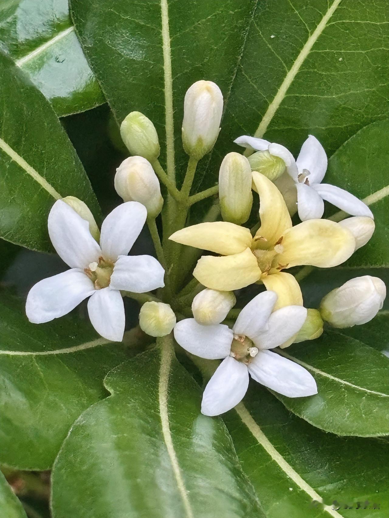 同事的老妈，今年56岁，没有退休金，买了居民养老保险手里攥着40多万的存款，