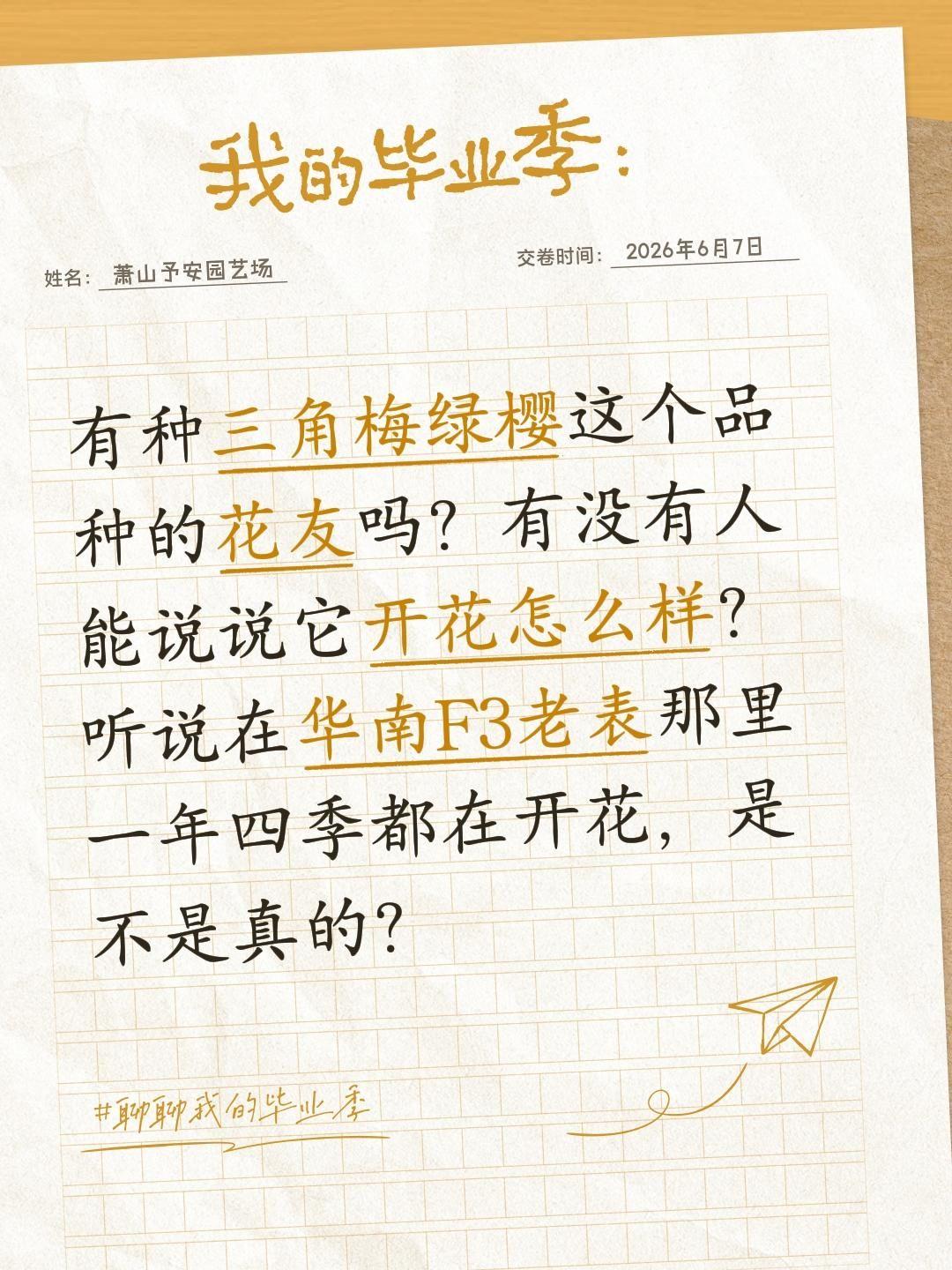 有没有花友种三角梅绿樱这个品种的？有种三角梅绿樱这个品种的花友吗？有没有人能说说