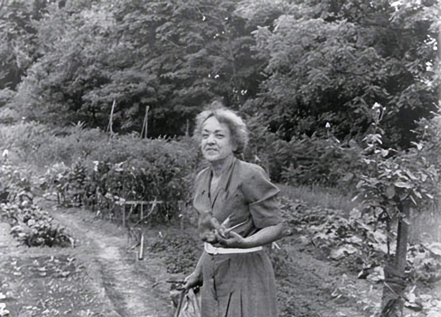 1950年，史沫特莱病逝于英国伦敦，她的遗嘱骤然震动北京：全部财产赠予朱德，唯愿