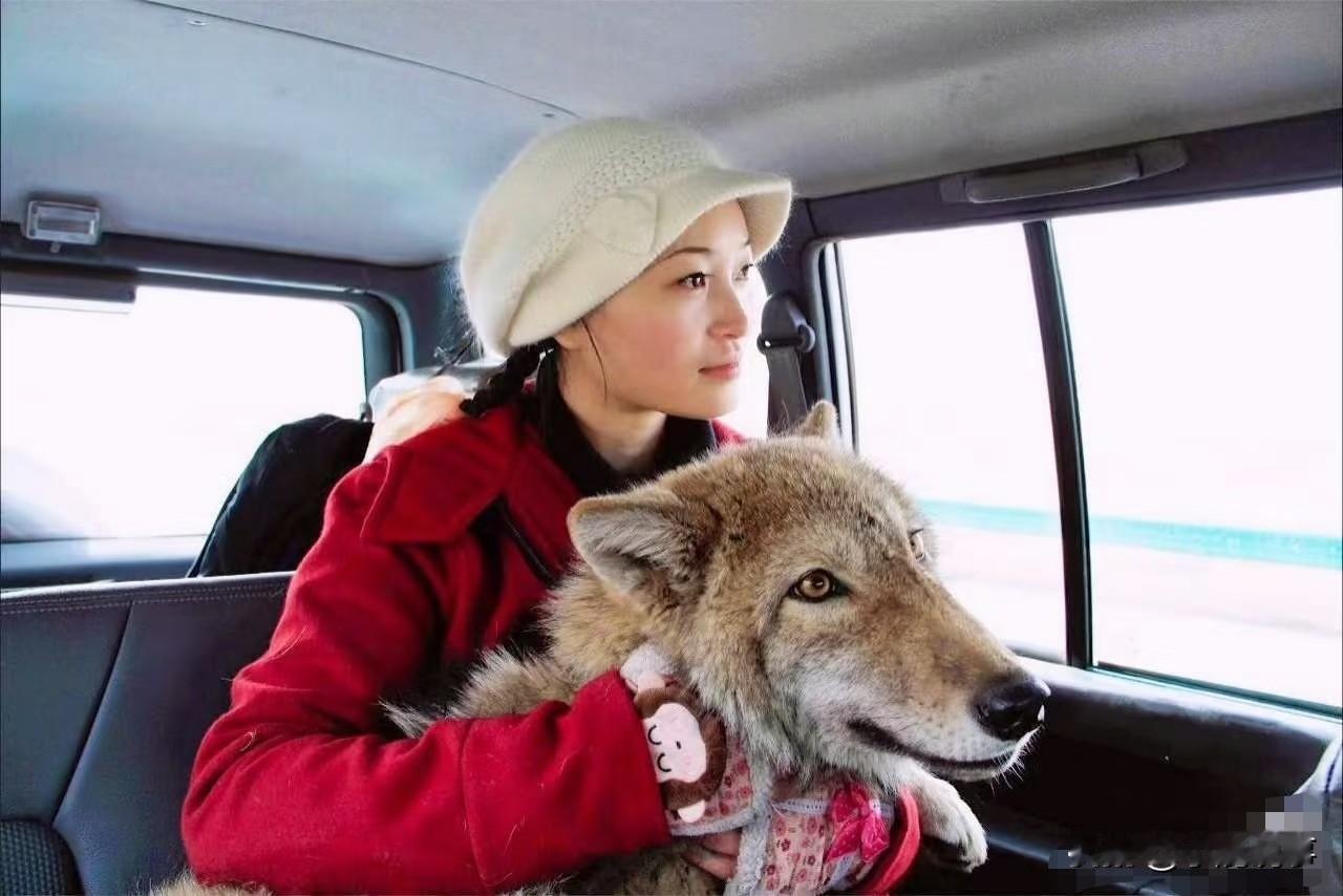 这几天全网都在夸李微漪和狼格林的故事，47岁的她没结婚没孩子，干脆卖掉成都的房子