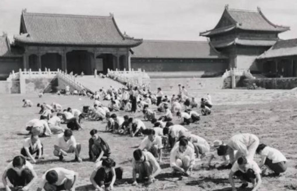 1949年，国家组织了7万人在北京故宫里清理垃圾，历时9个月清理出清末以来近40