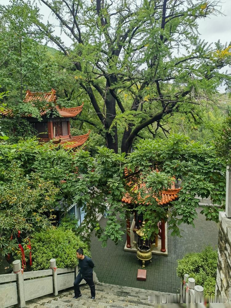 鹤岗的房子真是太便宜了,网上说一个房子65平方,水电暖齐全,要价1.2万,买主还