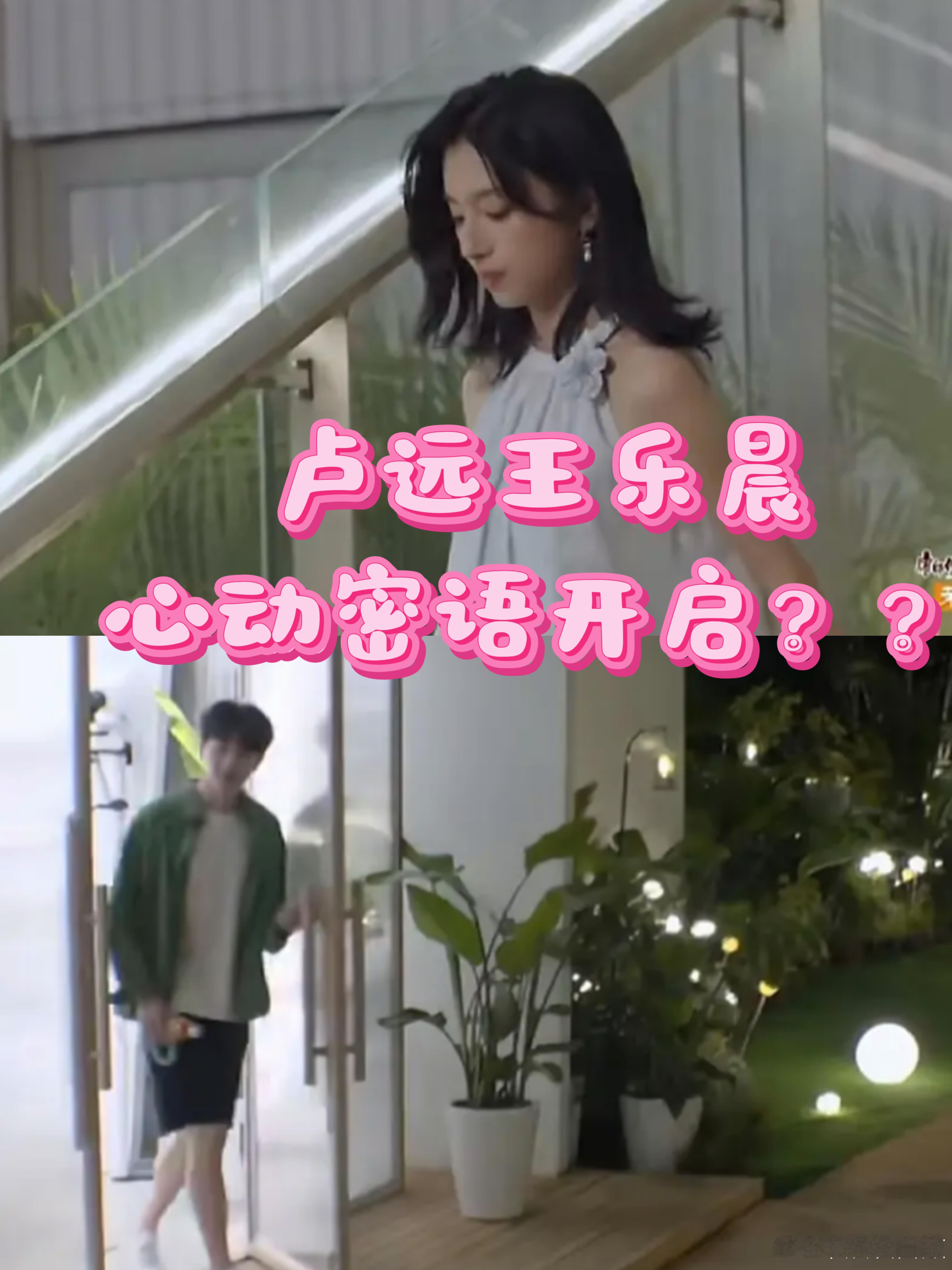 下期是卢远和王乐晨心动密语？？心动的信号心动的信号心动的信号8​​​