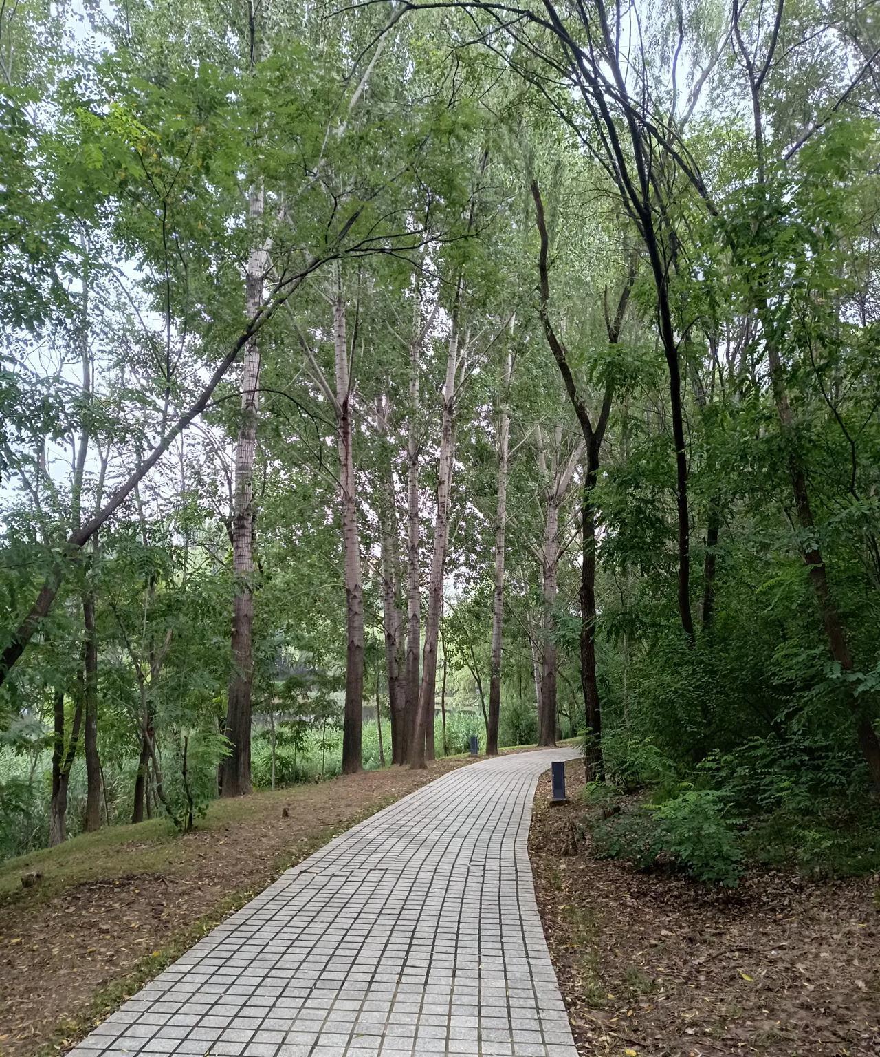 一个人站什么队，跟什么人，真的太重要了，西游记谁都看过，其中的猪八戒，真的是人的