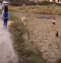 妹妹姐姐就帮你到这剩下的要靠你自己了