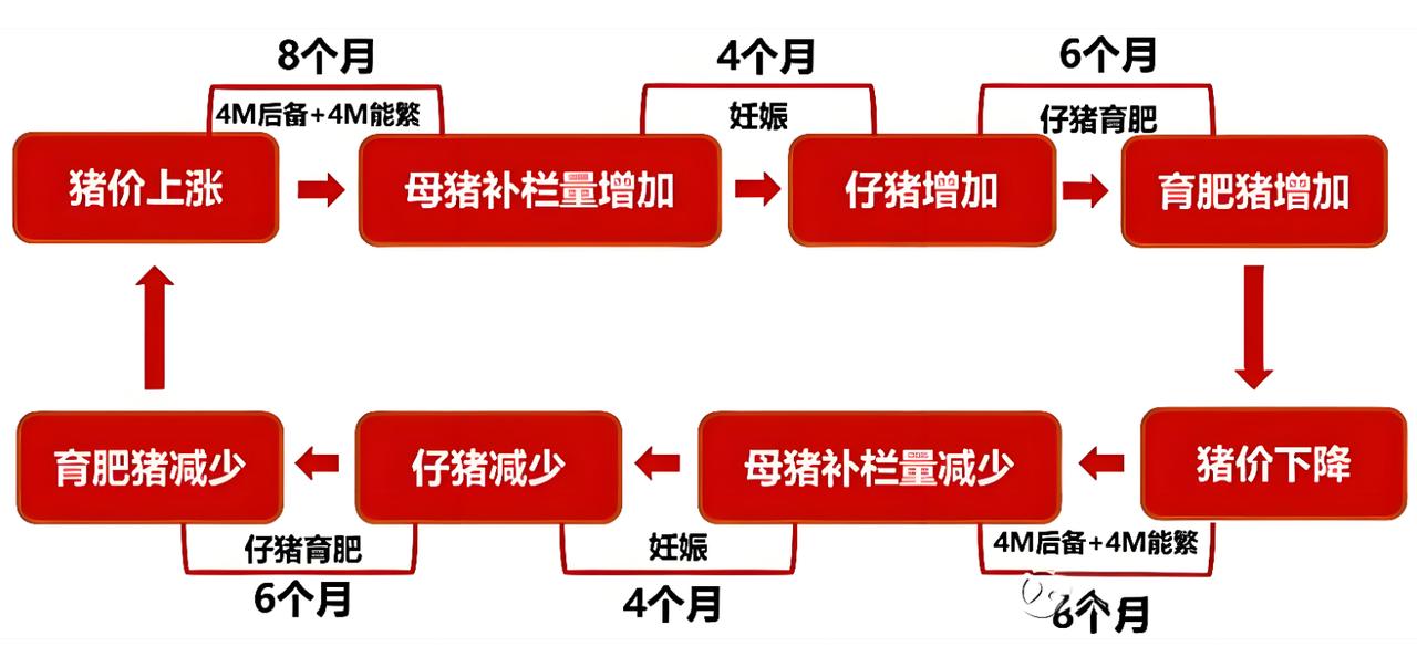 再谈谈生猪周期。说到猪肉，跟每个人息息相关，昨天我说过，整个CPI，食品的权重最