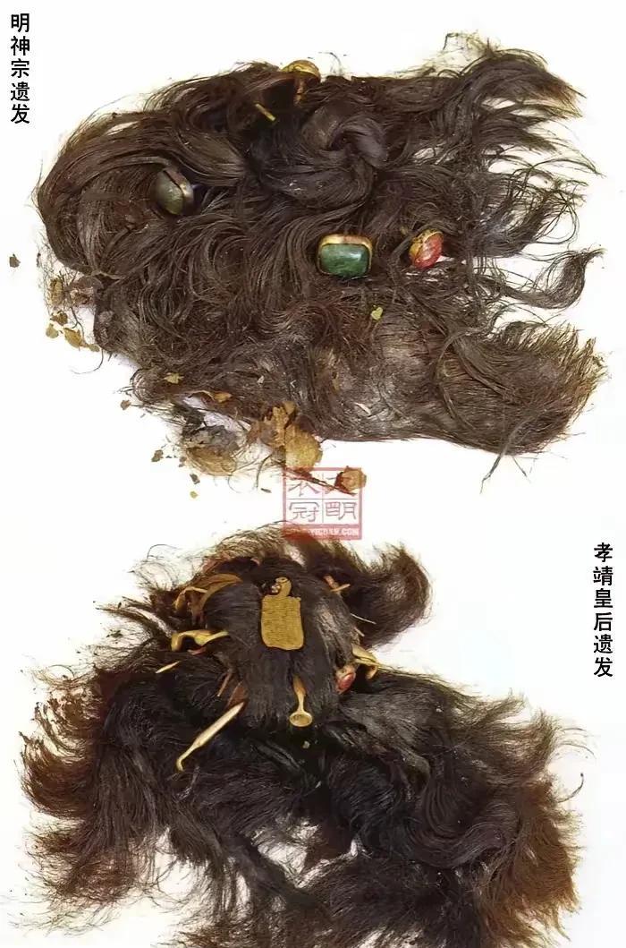 这是定陵出土的明神宗和孝靖皇后的头发，没想到过去这么多年，还保存的这么好，连头发