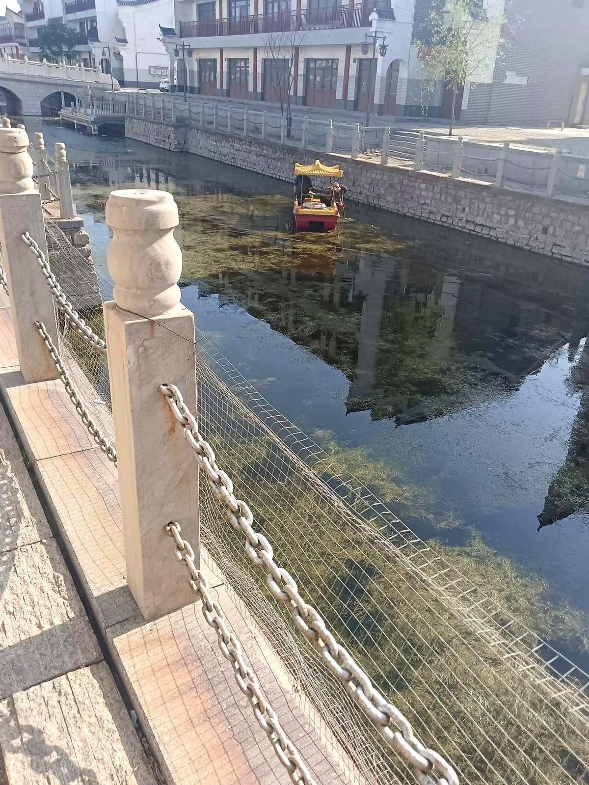 我最要好的朋友几年前出车祸去世了昨天路过她家院子，看见她正蹲在墙根底下择菜呢