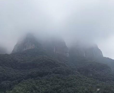 程梦圆位置已锁定正在营救中有位在山上的博主直播时说，程梦圆就在这个雾气很