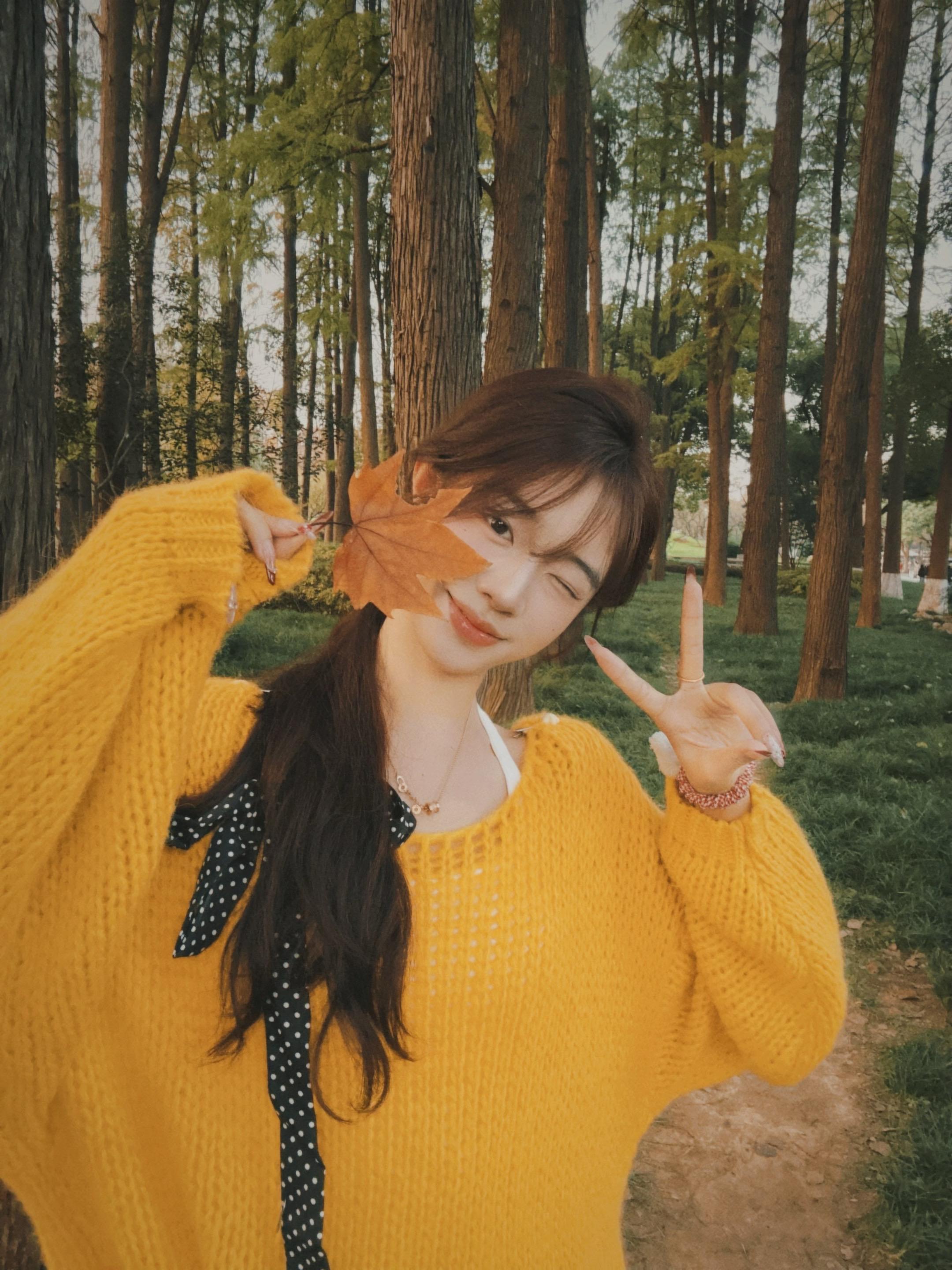 在这个落叶像雪的季节