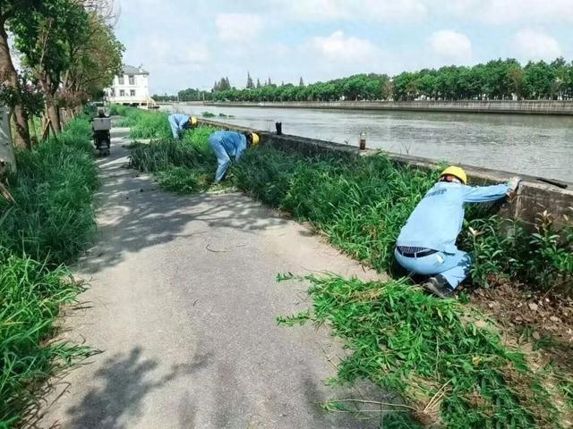 台风“沙德尔”逼近, 金山已转移2600余人…