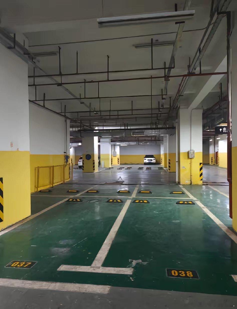 我闺蜜今天又干了一件傻事，脑子估计进水了，花六万买了个车位。签完合同，物业才说每