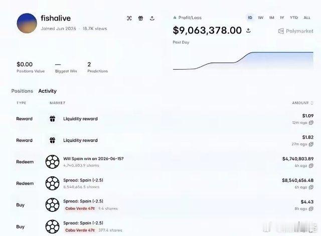世界杯有人在开赛突然投42万美元（约人民币283万元）买西班牙不胜佛得角，3分钟