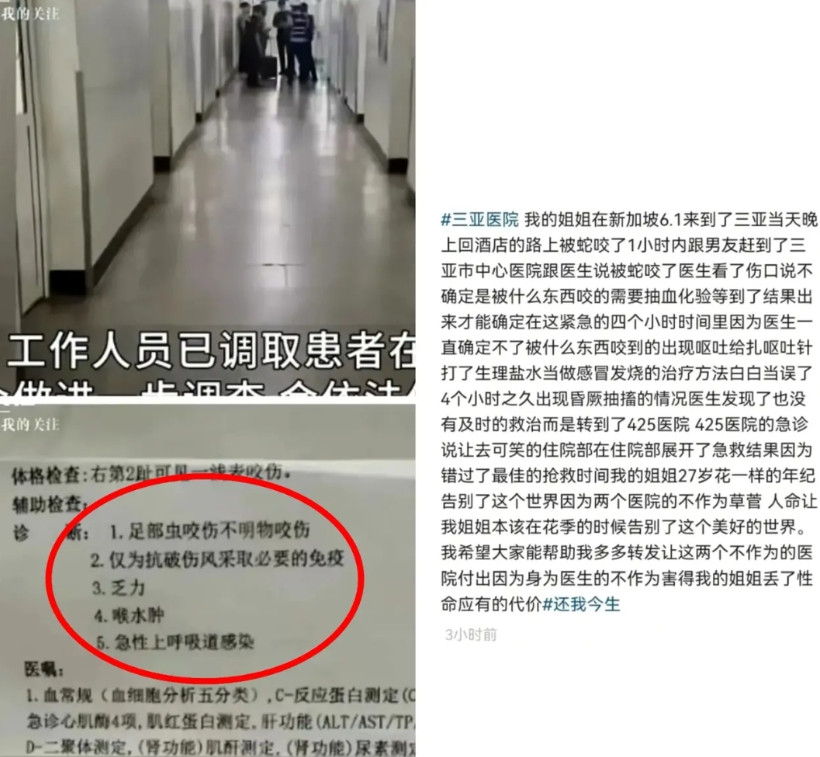 现在全/网最/头疼的就是海南文旅了，不是因为酒店涨价，也不是因为美食不好吃，而是